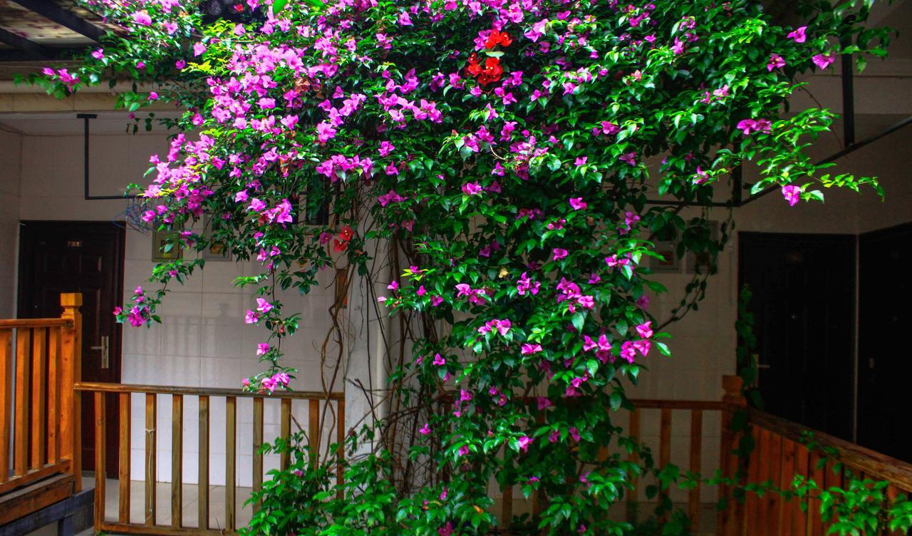 Dali Lao Shay Youth Hostel Eksteriør bilde